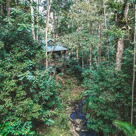 Narrows Escape Rainforest Retreat Montville Luaran gambar