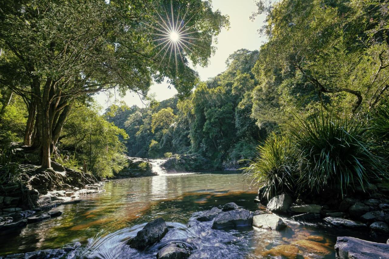 Narrows Escape Rainforest Retreat Montville Luaran gambar
