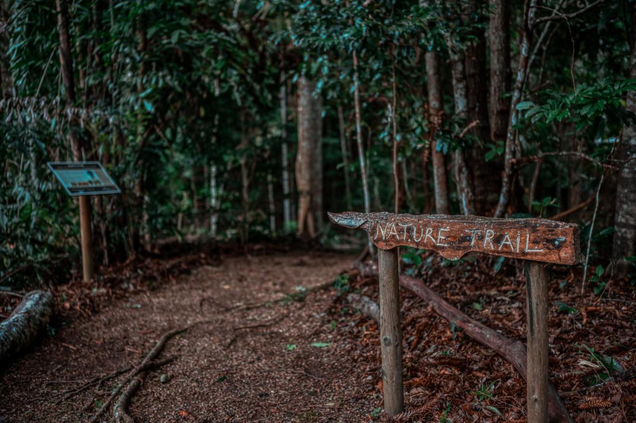 Narrows Escape Rainforest Retreat Montville Luaran gambar