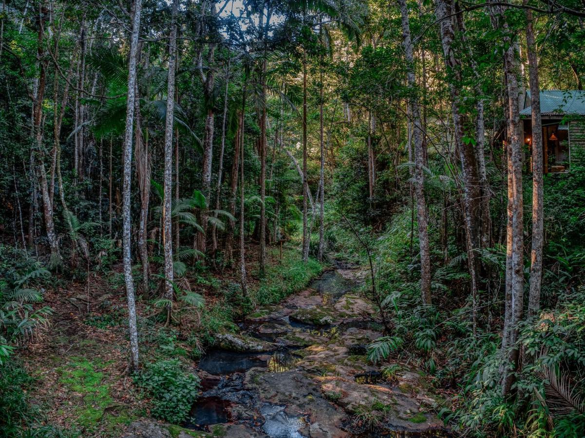 Narrows Escape Rainforest Retreat Montville Luaran gambar