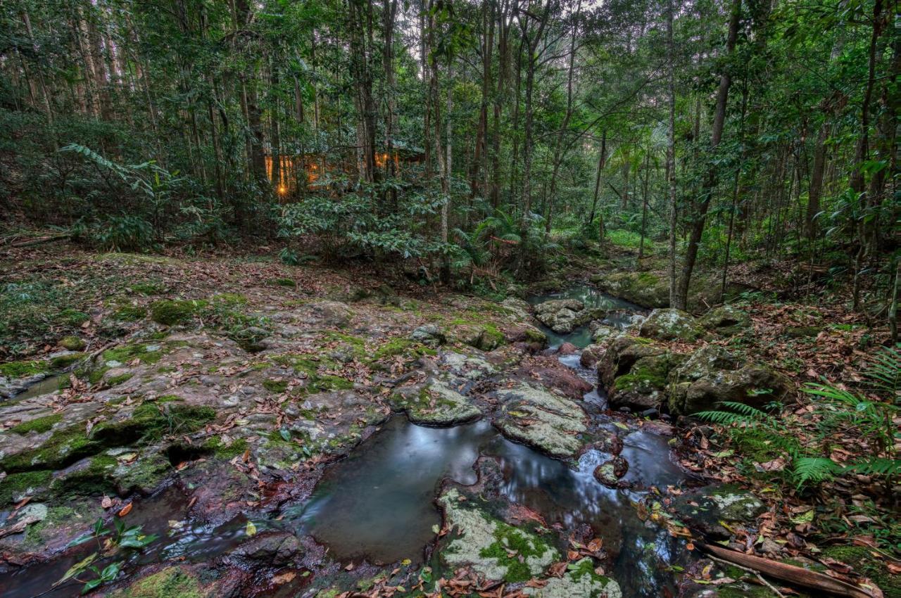 Narrows Escape Rainforest Retreat Montville Luaran gambar
