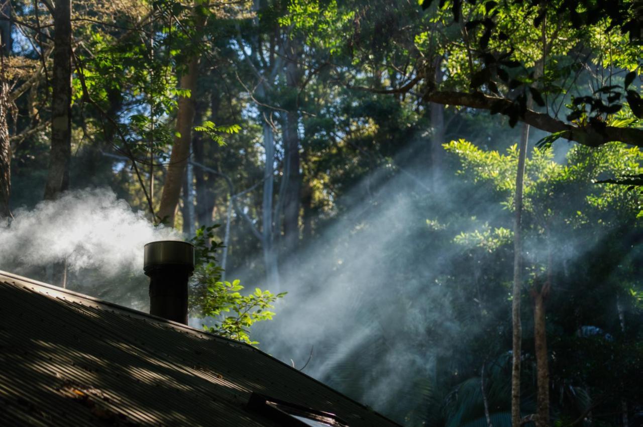 Narrows Escape Rainforest Retreat Montville Luaran gambar