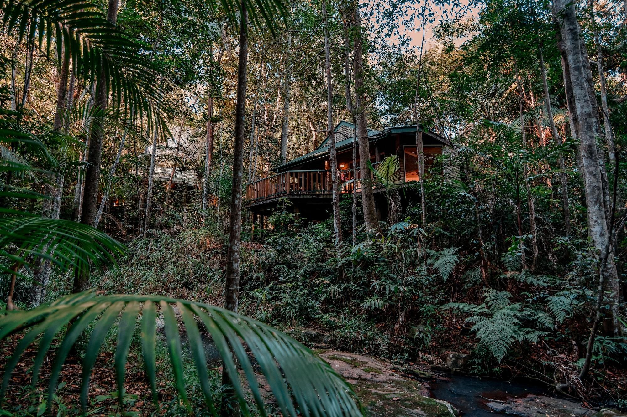 Narrows Escape Rainforest Retreat Montville Luaran gambar