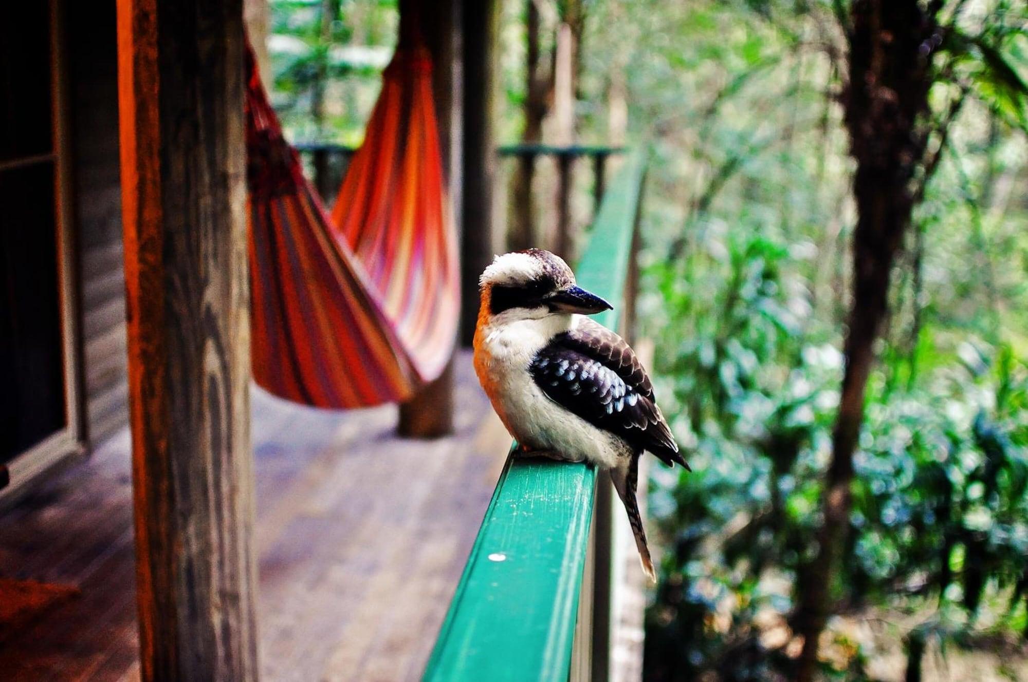 Narrows Escape Rainforest Retreat Montville Luaran gambar