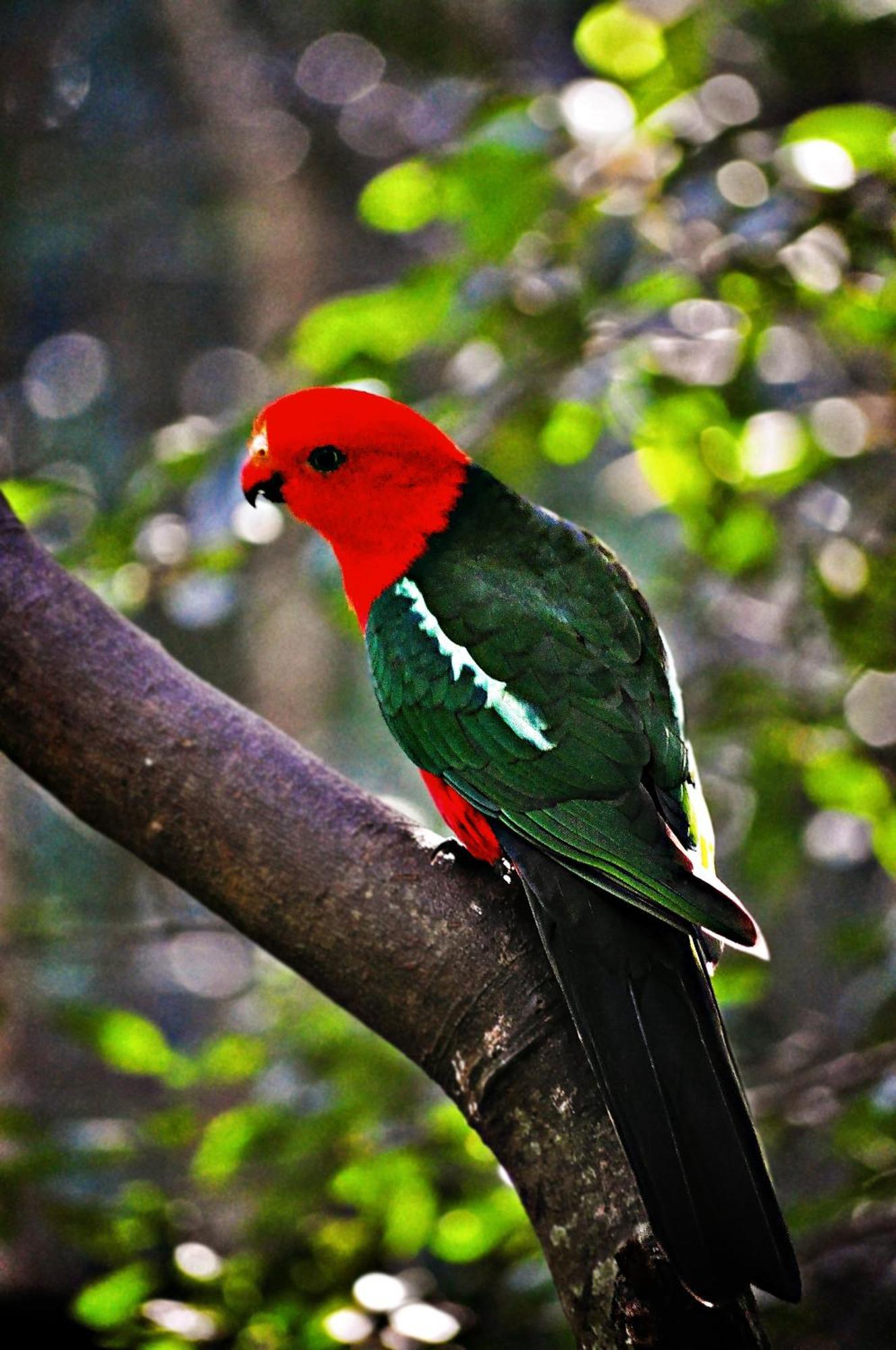 Narrows Escape Rainforest Retreat Montville Luaran gambar