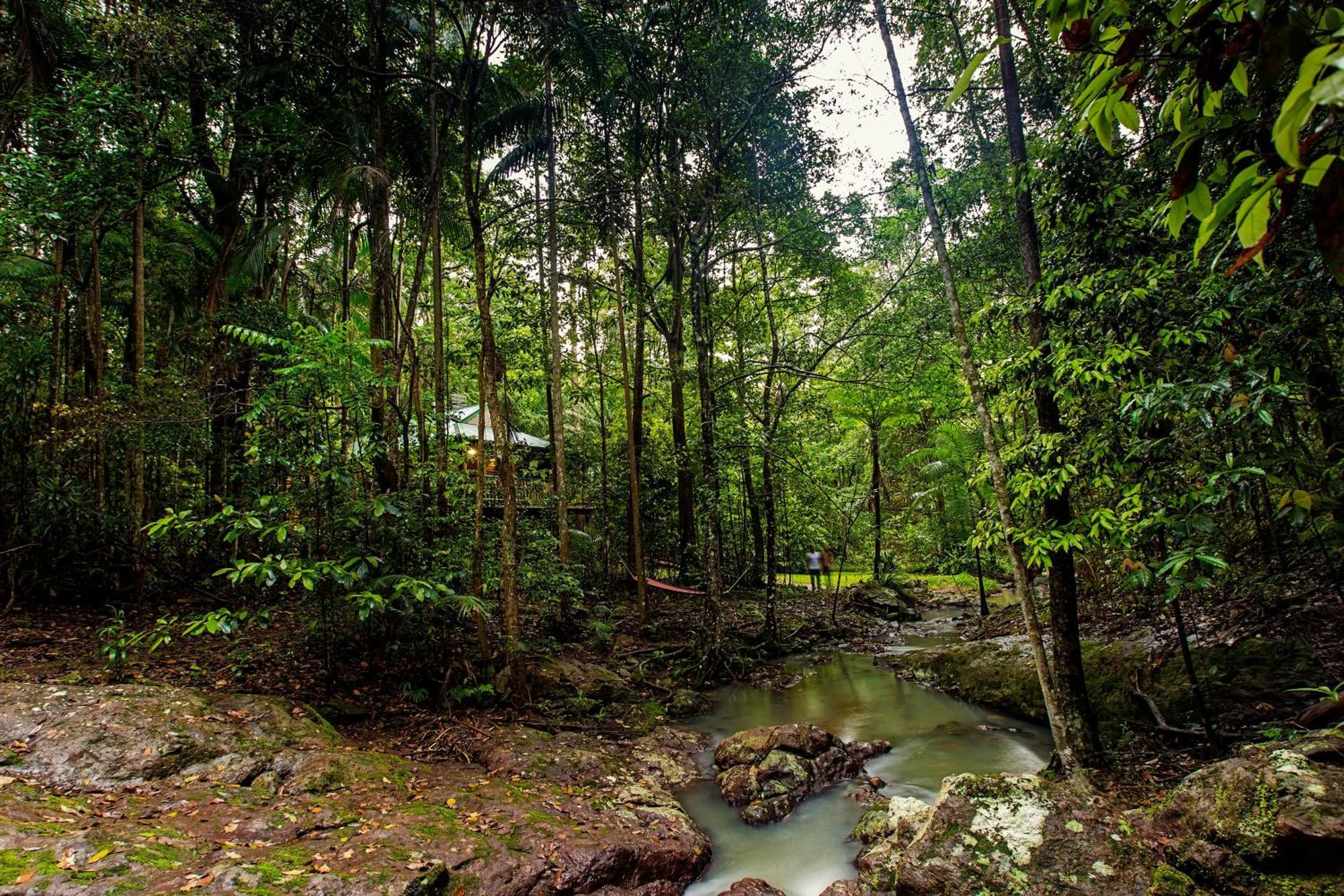 Narrows Escape Rainforest Retreat Montville Luaran gambar