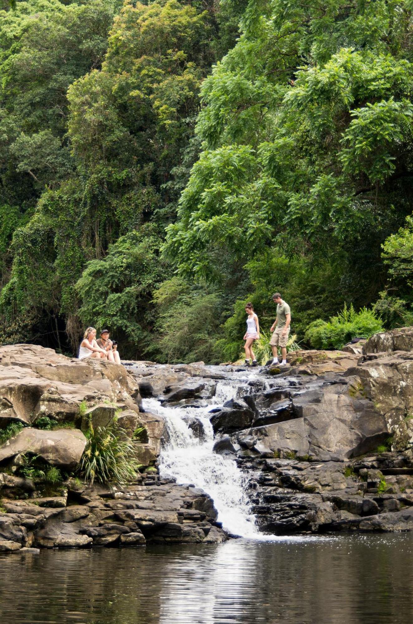 Narrows Escape Rainforest Retreat Montville Luaran gambar