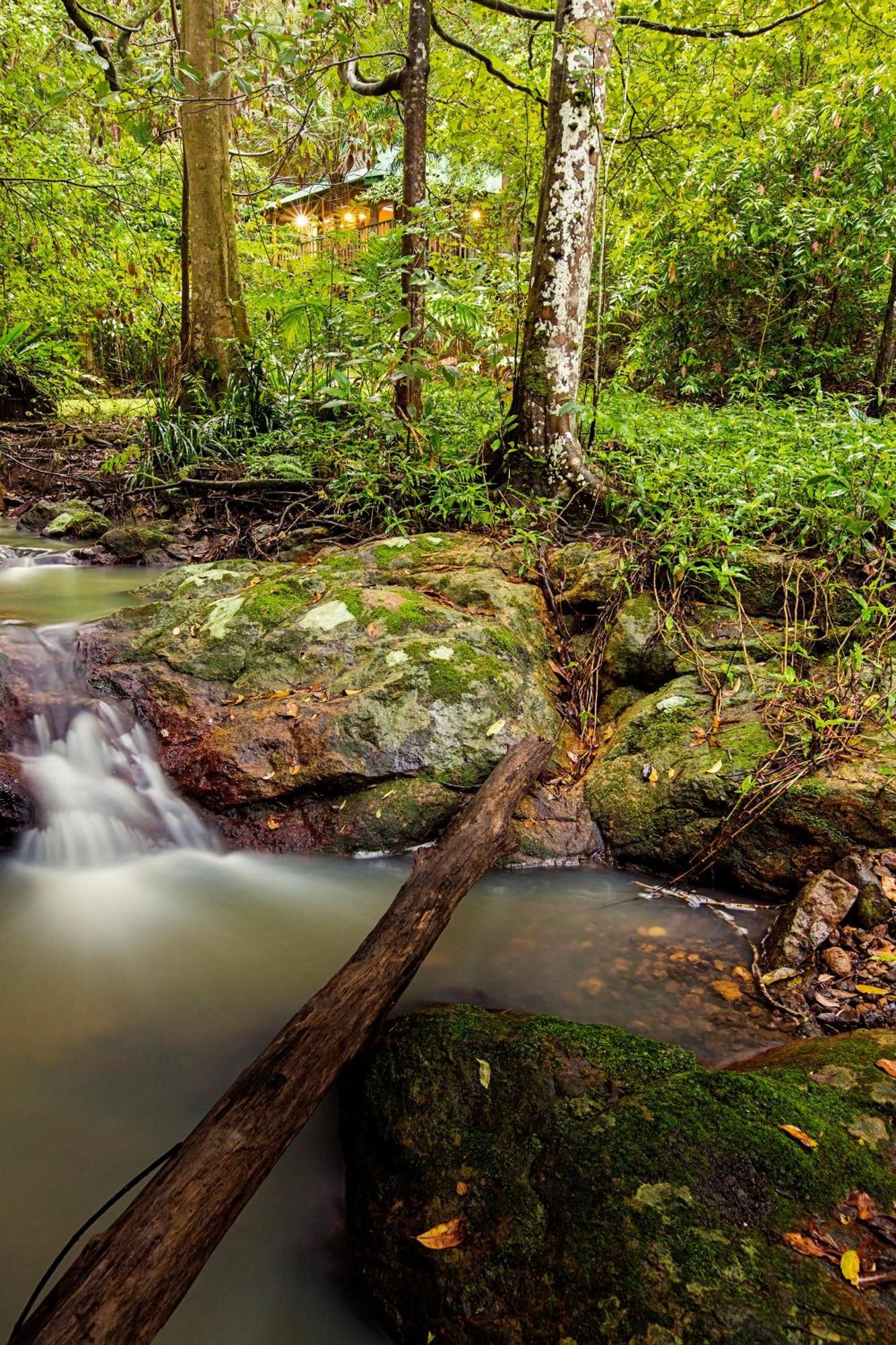 Narrows Escape Rainforest Retreat Montville Luaran gambar