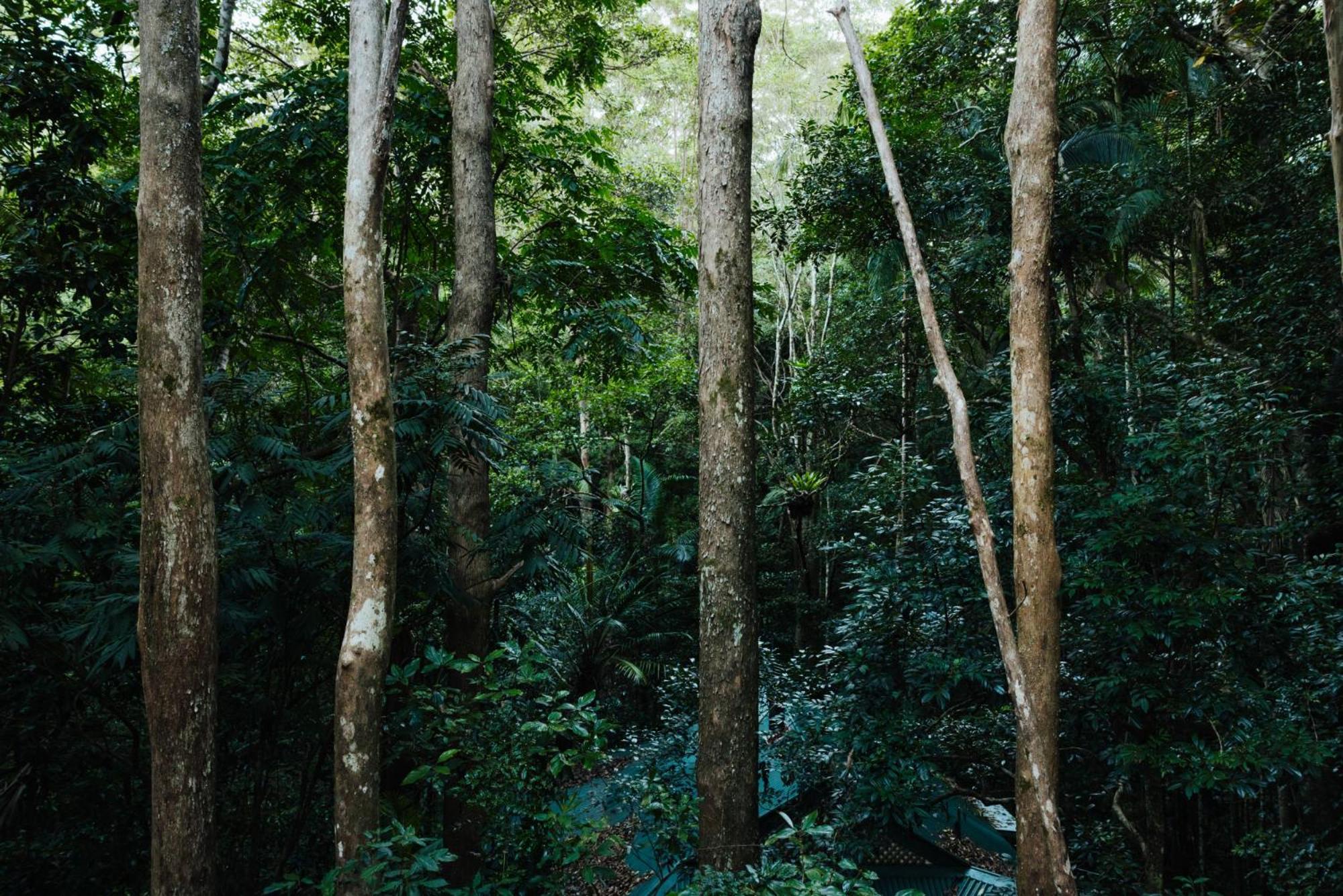 Narrows Escape Rainforest Retreat Montville Luaran gambar