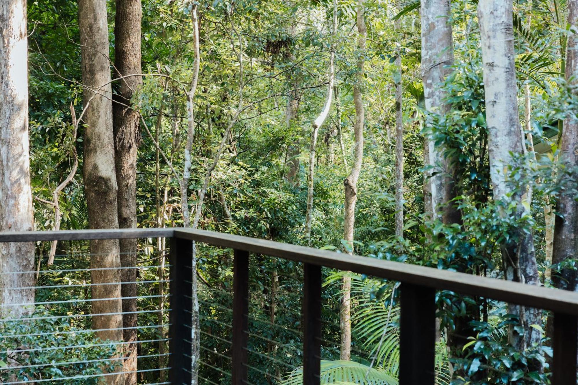 Narrows Escape Rainforest Retreat Montville Luaran gambar