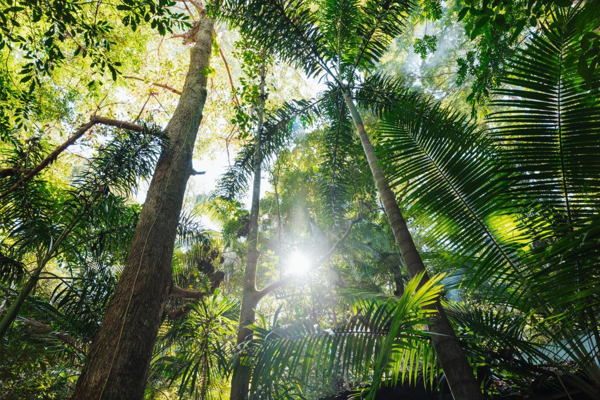 Narrows Escape Rainforest Retreat Montville Luaran gambar