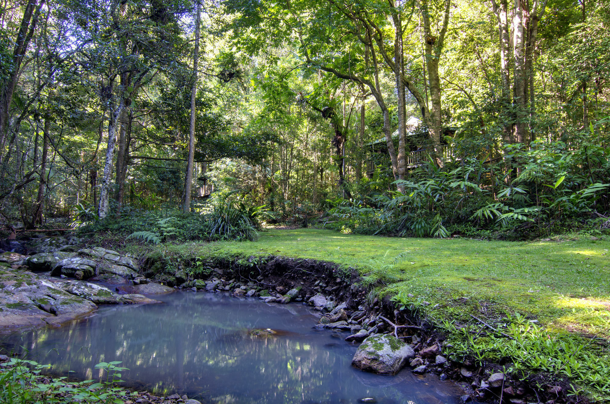 Narrows Escape Rainforest Retreat Montville Luaran gambar